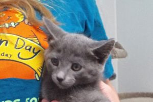 Picture of Lila