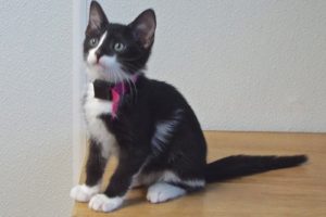 Baby Milgard