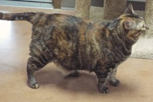 Picture of Ms. Jasper