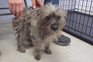 Picture of Rylee