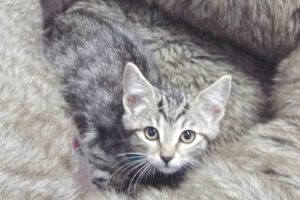 Picture of Sally