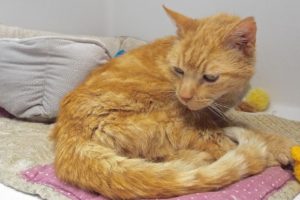 Picture of Wally