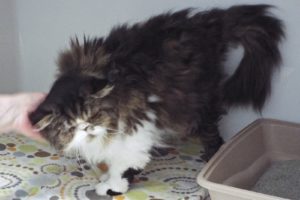 Picture of Kevin