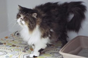 Picture of Kevin