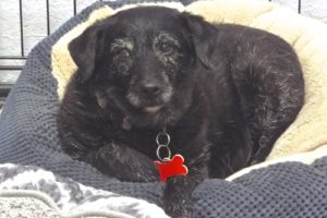 Picture of Minnie