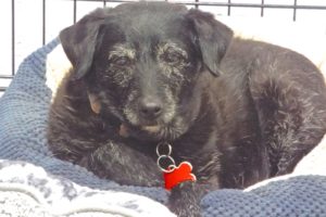 Picture of Minnie