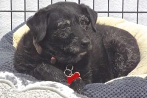 Picture of Minnie