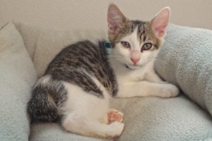 Picture of Soren