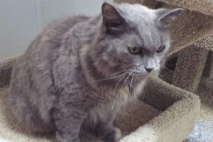 Picture of Liza