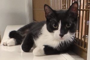 Picture of Lily