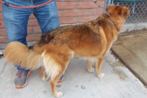 Picture of Murphy