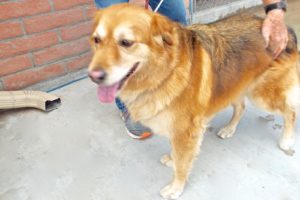Picture of Murphy