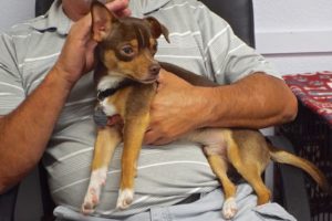 Picture of Buster Brown