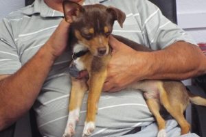 Picture of Buster Brown