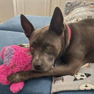 Picture of Millie
