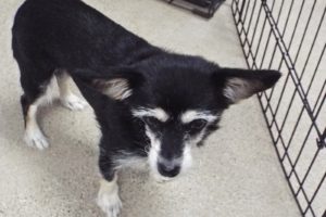Picture of Sandy Lou