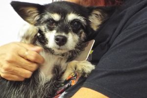 Picture of Sandy Lou