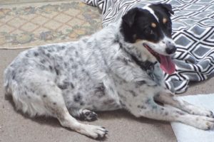 Picture of Daisey