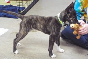Picture of Keisha