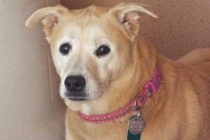 Picture of Lucy