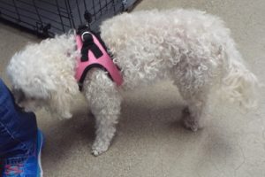 Picture of Maddie