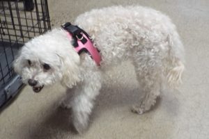 Picture of Maddie