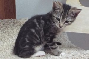 Picture of Zuko