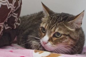 Picture of Mr. Boots