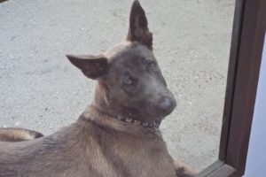 Picture of Mystique