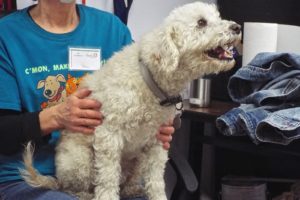 Picture of Walter