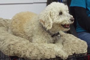 Picture of Walter