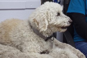 Picture of Walter