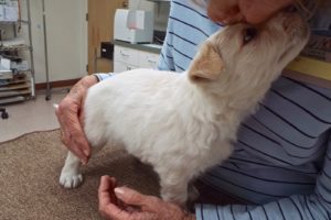 Picture of Esther