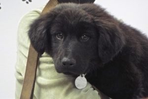 Picture of P.J.