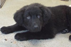Picture of P.J.