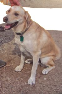 Picture of Seiko