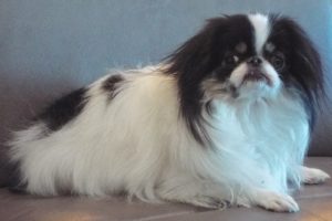 Picture of Tufe