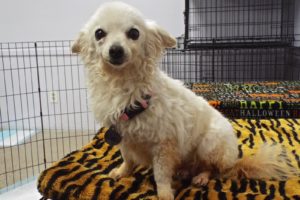 Picture of Gretel