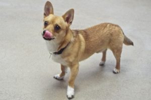 Picture of Little Bit
