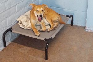 Picture of Thelma