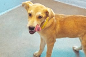 Picture of Thelma
