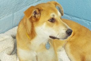 Picture of Thelma
