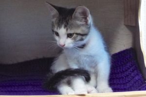 Picture of Little Bit