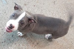 Picture of Reginald
