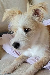 Picture of Chloe