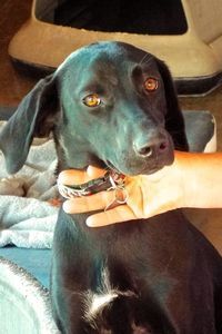 Picture of Diamond
