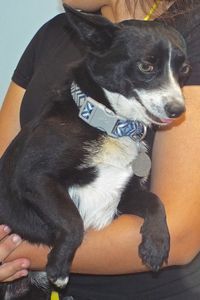Picture of Junior