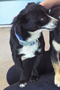Picture of Junior