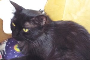Picture of Mama