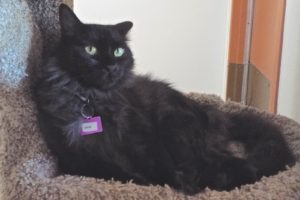 Picture of Mama